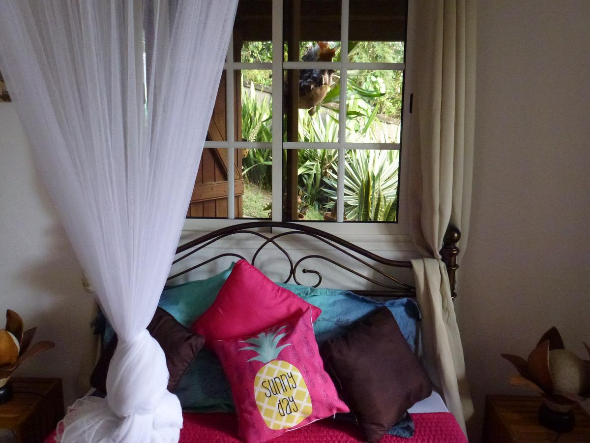 Kreyol Lodges - Suite Kayou Deshaies Exterior foto