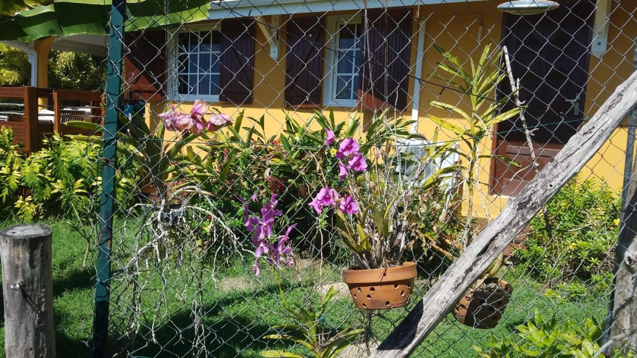 Kreyol Lodges - Suite Kayou Deshaies Exterior foto
